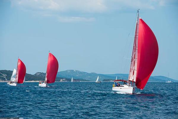 体育项目考学难度分析报告(图1)